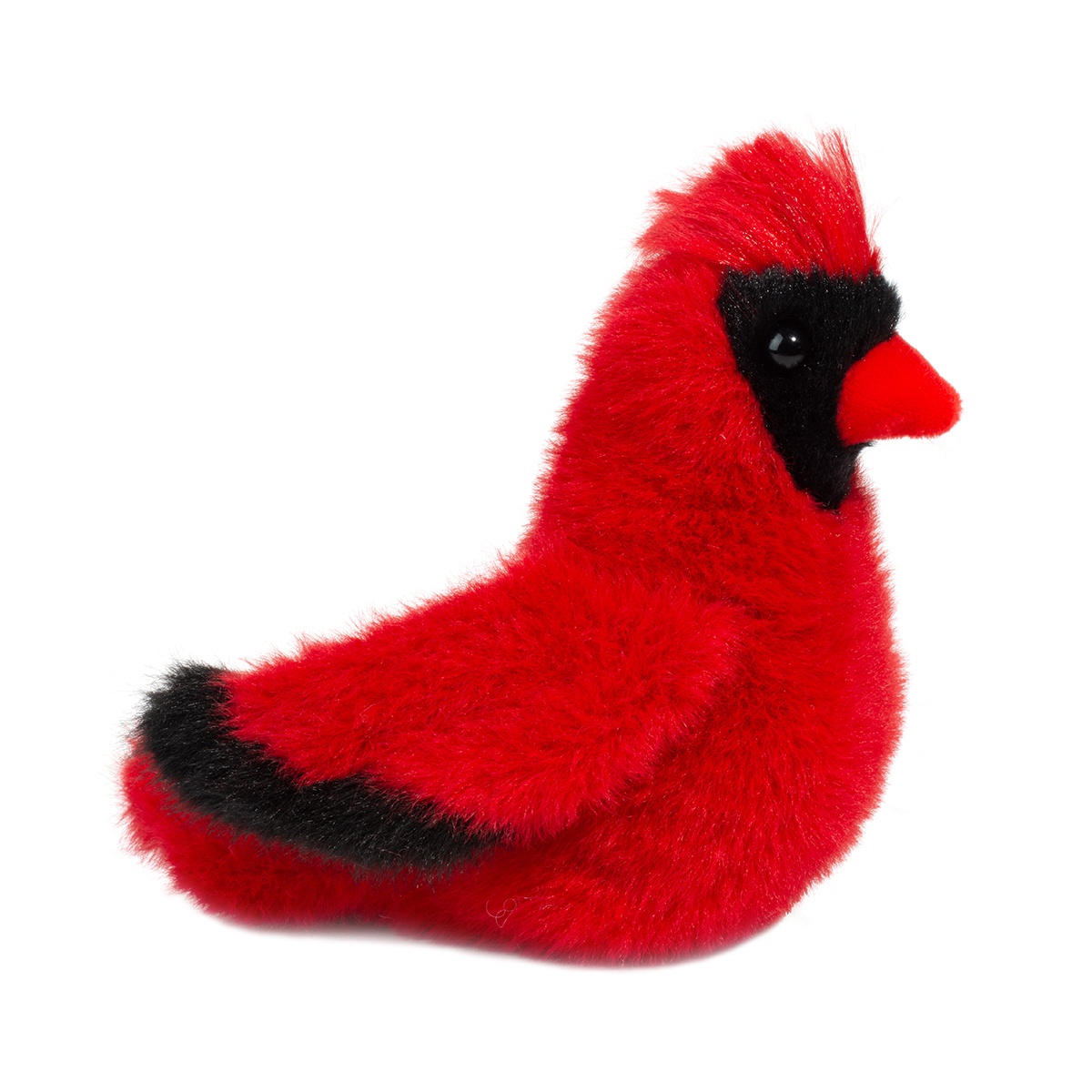 1611-1.jpg Carmine Cardinal - Image 1