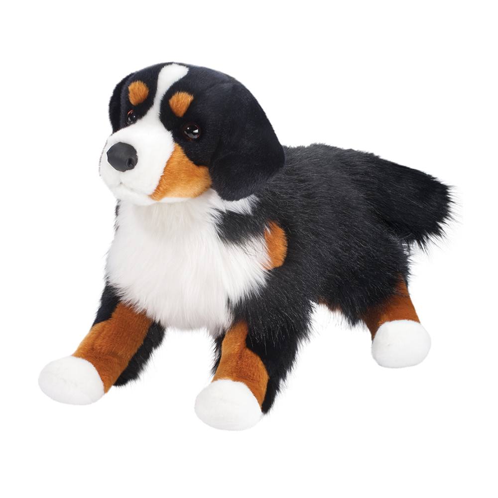 1851-1.jpg Alps Bernese Mountain Dog - Image 1