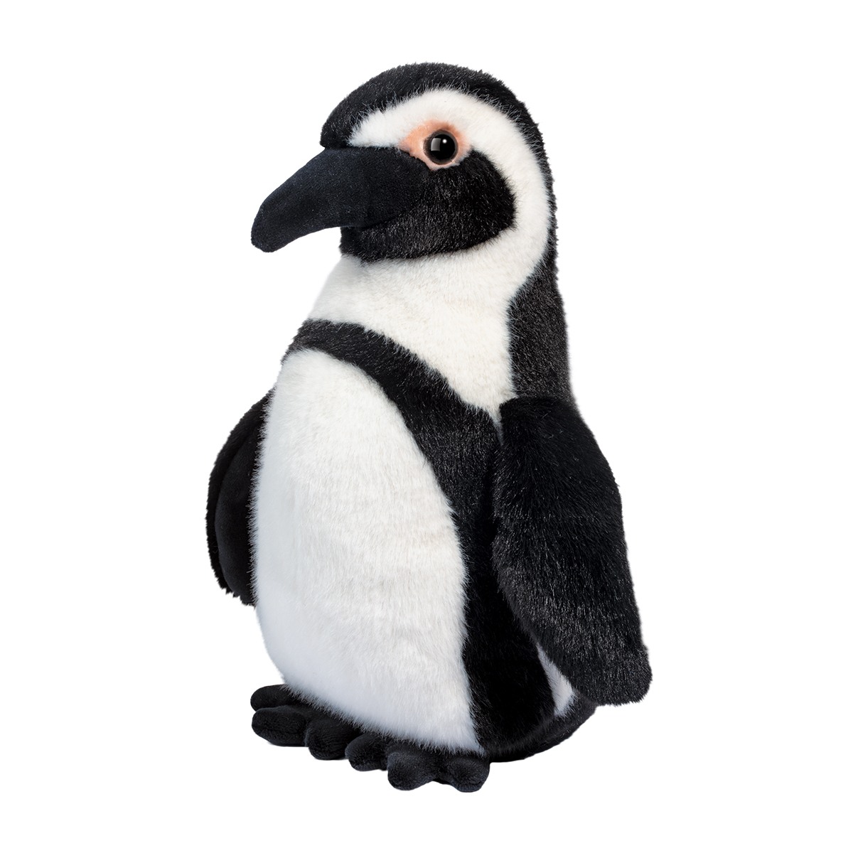 3723.jpg Zuri African Penguin - Image 1